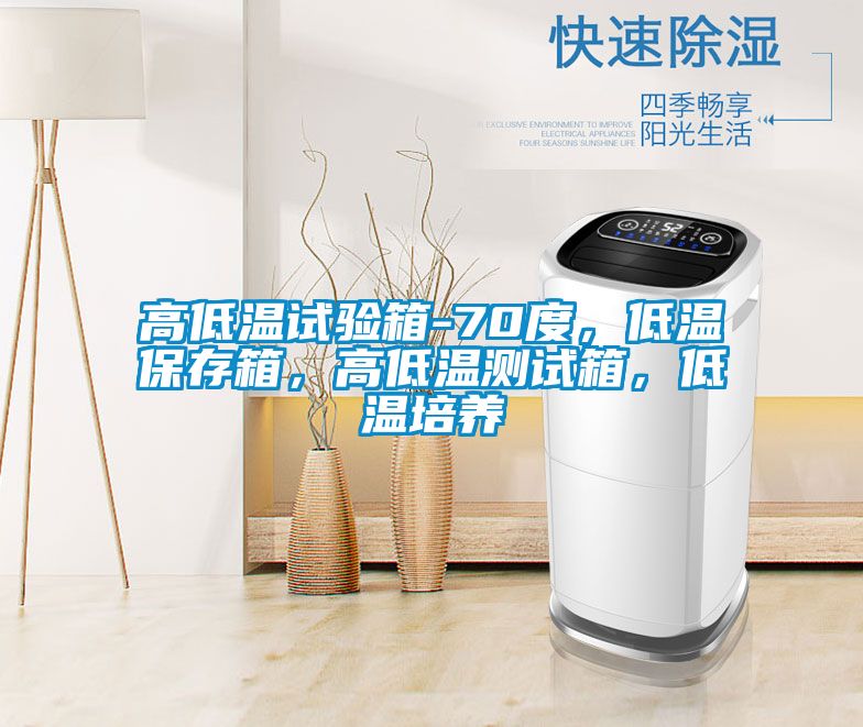高低温试验箱-70度，低温保存箱，高低温测试箱，低温培养