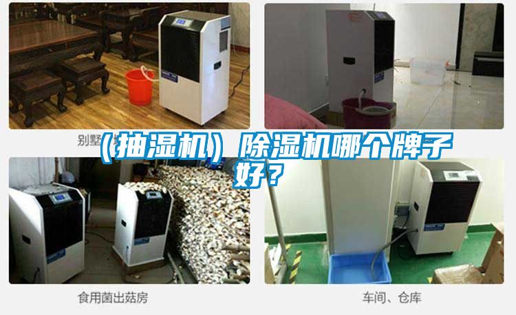 （抽湿机）粉色视频免费在线观看哪个牌子好？