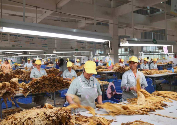 烟草行业加湿处理粉色视频成人