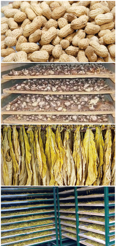  食用菌烘干处理粉色视频成人